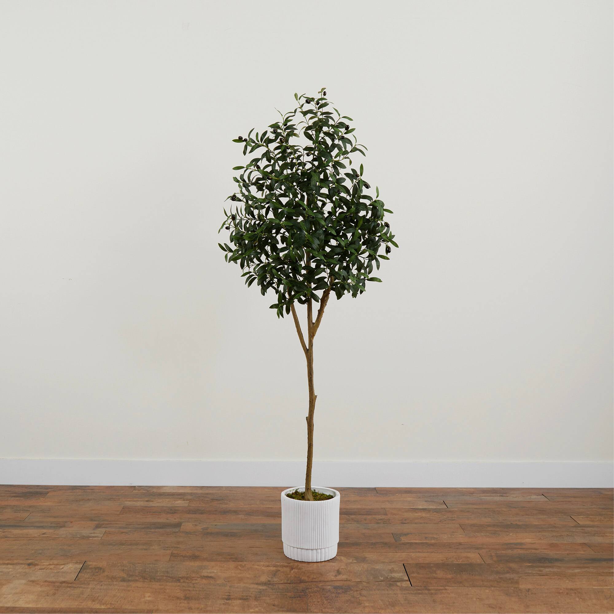 6ft. Artificial Olive Tree with White Decorative Planter